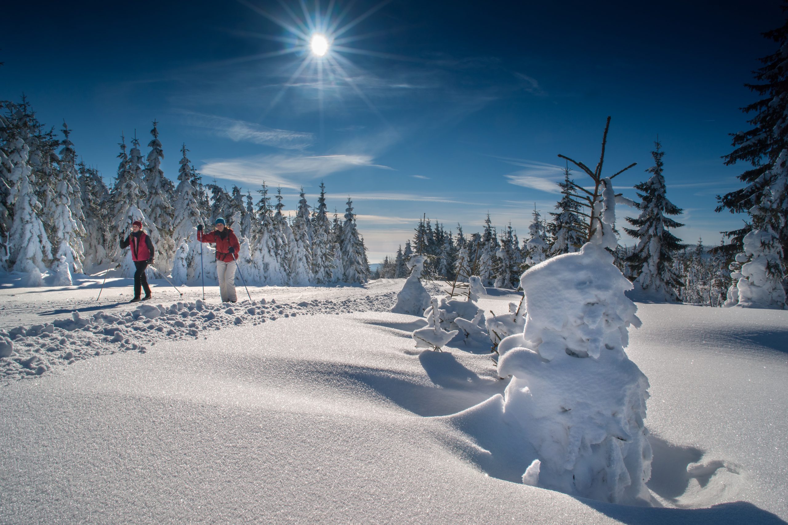 Parque Nacional de Šumava