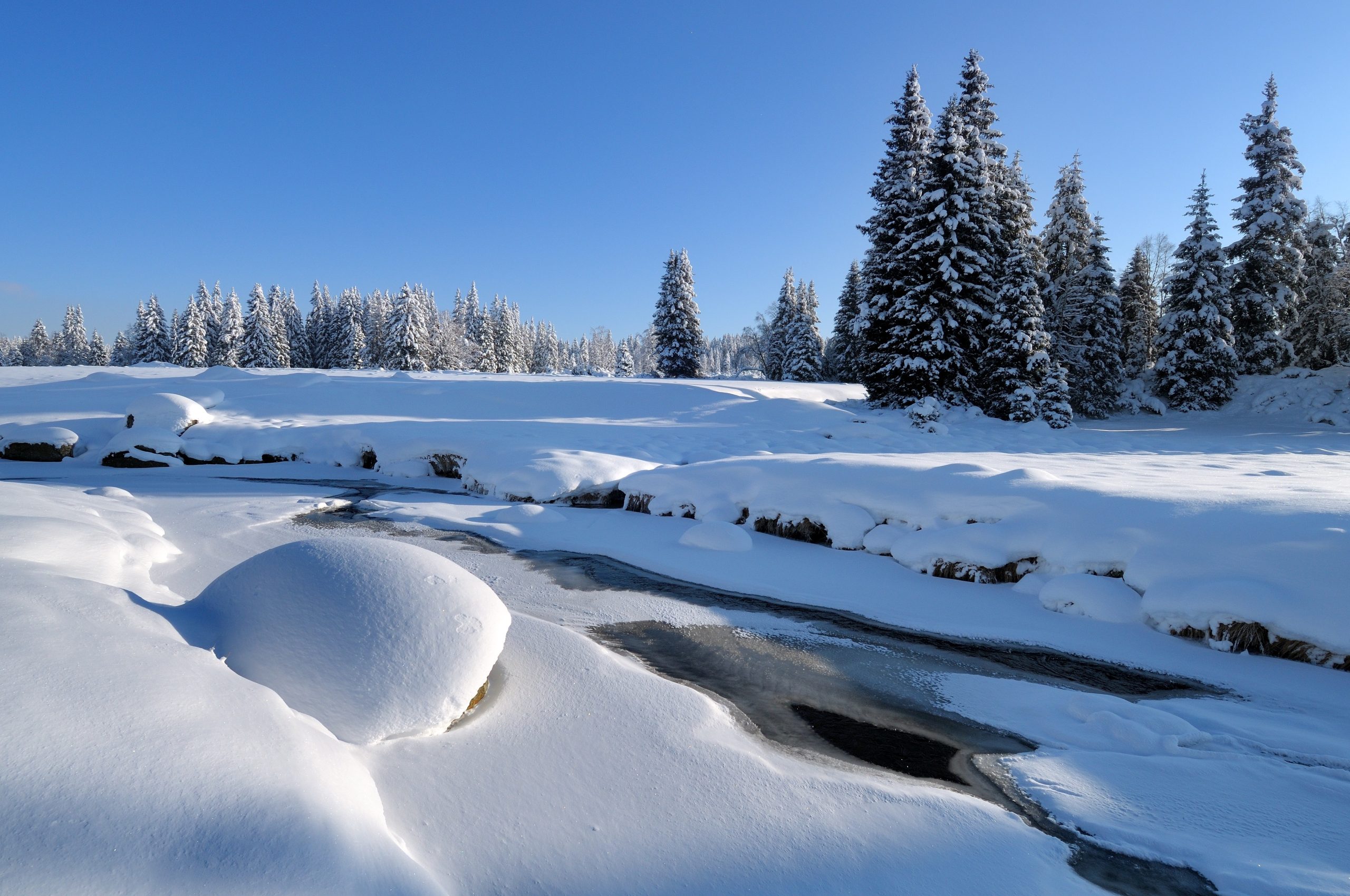 Parque Nacional de Šumava