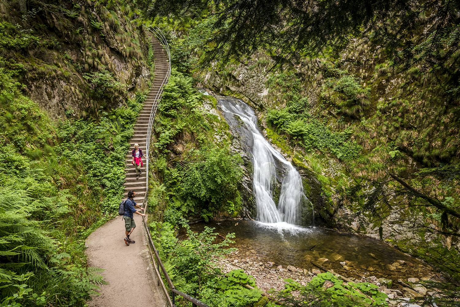 Ruta senderista en el Parque Nacional. DZT/Günter Standl